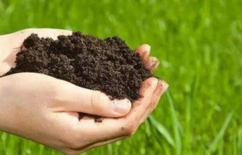 提高土壤有机质含量的几种方法