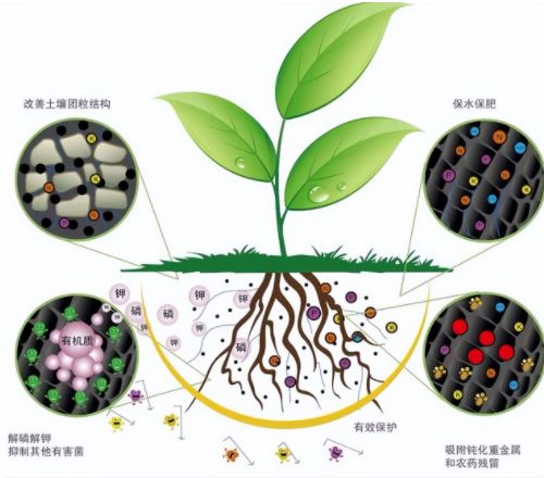 “土壤肥力”到底是什么？提高肥力提高的什么？科学数据来解释