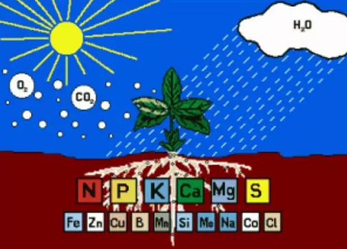 肥料施到地里多久能吸收？看完就懂了！
