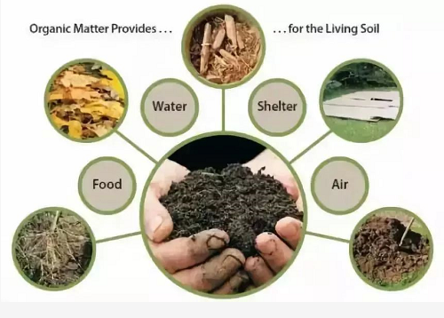 如何才能提高土壤肥力？