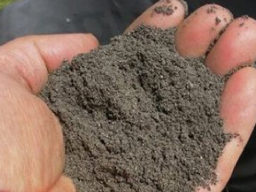  用生石灰解决土壤酸化、防治土传病害问题