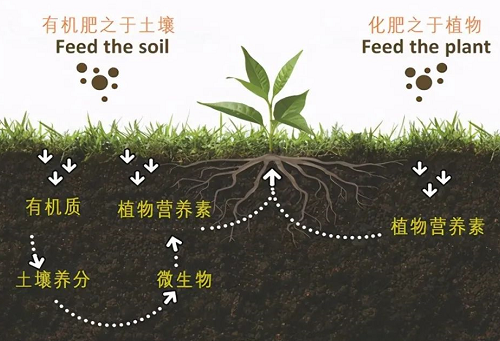 你怎样看待这些年的土壤问题呢？