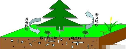 有机肥料是指来源于植物或动物，以提供作物养分为主要功效的含碳物料。多数有机肥料兼有改善土壤性质的作用