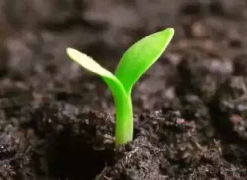 土壤为何五颜六色？
