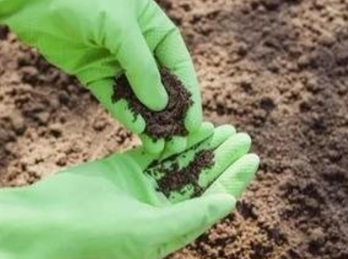 土壤专家“把脉” 让废土变良田