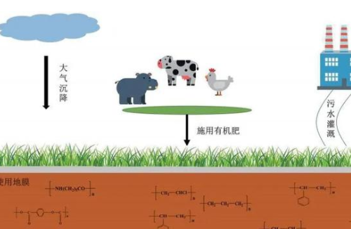 什么是酸性土壤？改良酸性土壤有什么方法 