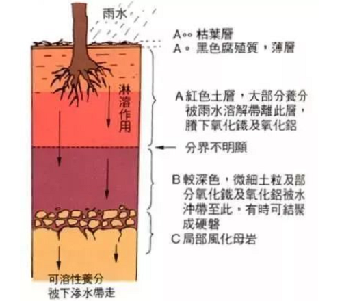 史上最全土壤知识！（绝版）