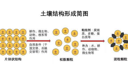 史上最全土壤知识！（绝版）