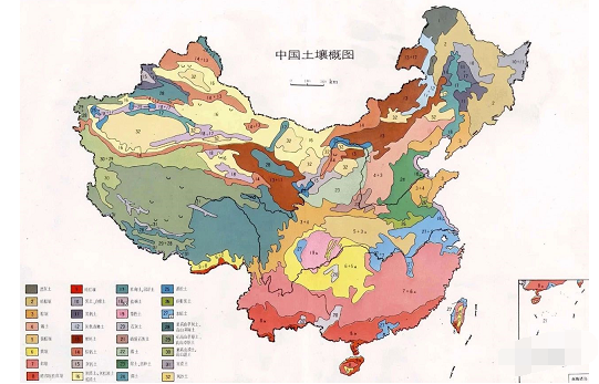 收藏这张图，了解全国的土壤！