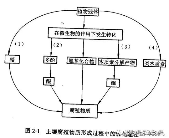 土壤有机质增加与施用有机肥的关系？