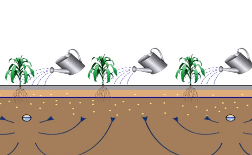 了解灌溉与土壤盐分累积的关系，做到合理灌溉