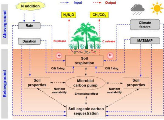 地球环境所全球变化下土壤呼吸及其温度敏感性研究取得进展