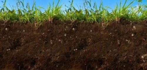 土壤腐殖质是些什么东西？