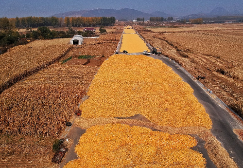 看看你家乡的土壤都是什么颜色的？