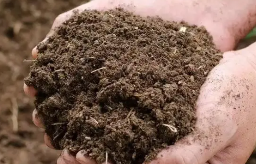 有机肥不管用？用了这么多年土壤有机质含量还是低，看完明白了
