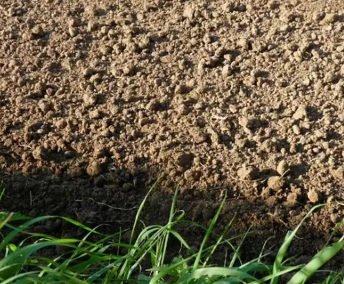 改善土壤质量，培养生态型土壤，是作物生长的根本