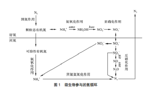 施用微生物肥料对土壤质量的影响