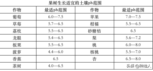 为什么要用有机肥？这是我见过最好的回答！