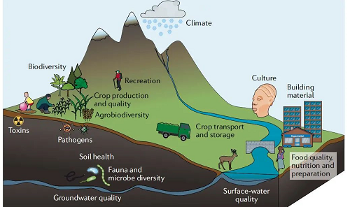 土壤健康的概念和未来展望！
