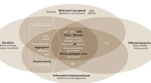 土壤健康的概念和未来展望！