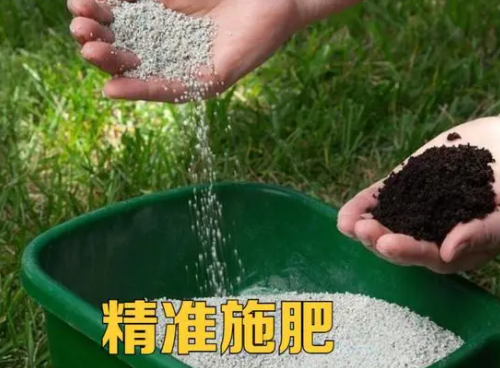土壤吃得太“咸”了，种植的作物该遭殃了，这事该怎么办？