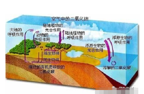 有机碳肥到底鸡肋还是商业宣传？科学认识土壤有机碳和无机碳