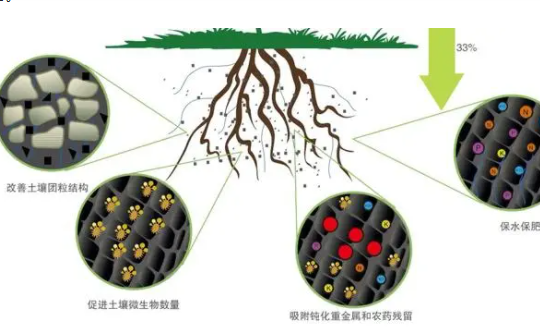 在什么情况下禁止使用菌肥？避开这4点因素，土壤越种越肥