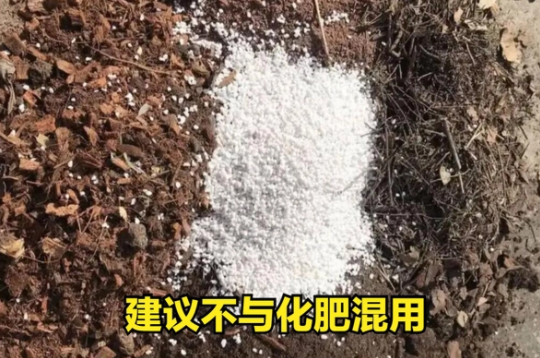 在什么情况下禁止使用菌肥？避开这4点因素，土壤越种越肥