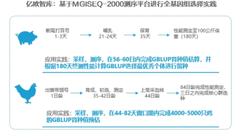 我们为什么看好中国分子育种？“最后一公里”并非遥不可及