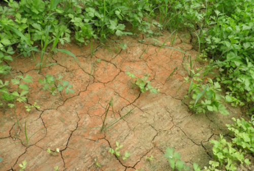在种地时，碰到土壤板结的情况，我们如何解决？