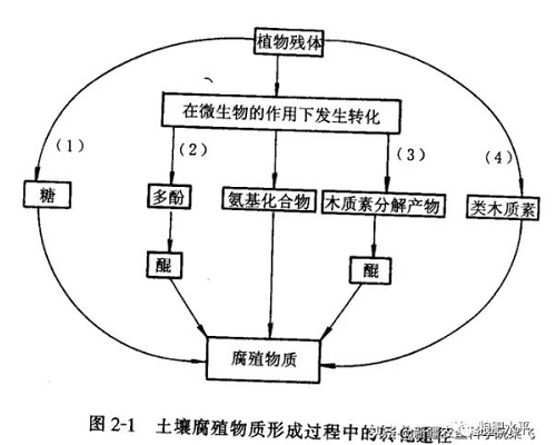 土壤有机质增加与施用有机肥的关系？