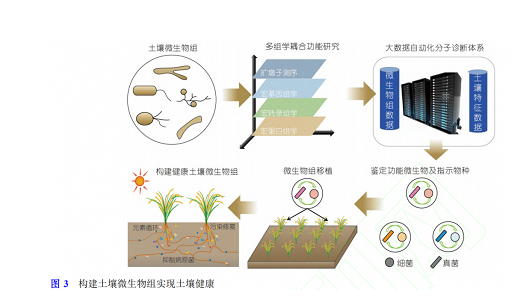 土壤微生物组与土壤健康