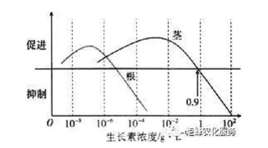 影响作物根系生长的三要素