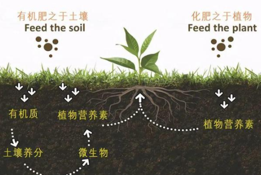 改良土壤，你不做，我也不做，那谁来做？”