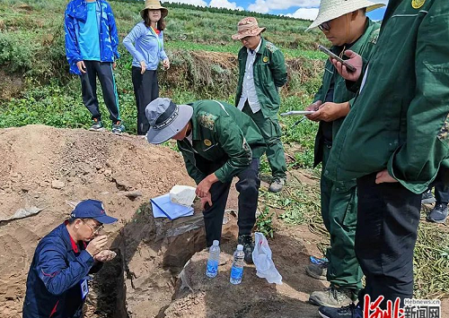 河北对全省土壤进行全面“体检”→