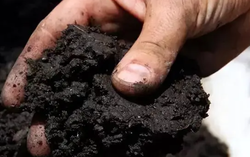 人养地，地养人，保护土壤要科学使用化肥、农药等农用物资
