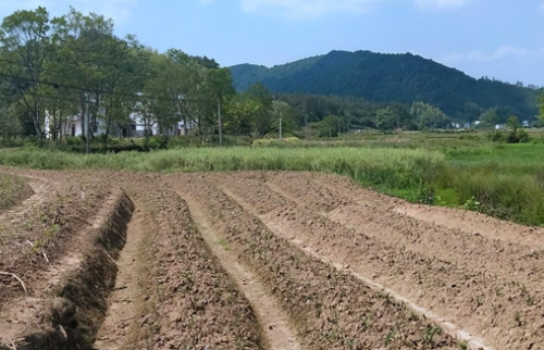 “世界土壤日”再临，污染防治“防火墙”高筑中