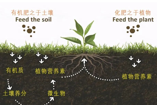 改良土壤，你不做，我也不做，那谁来做？”