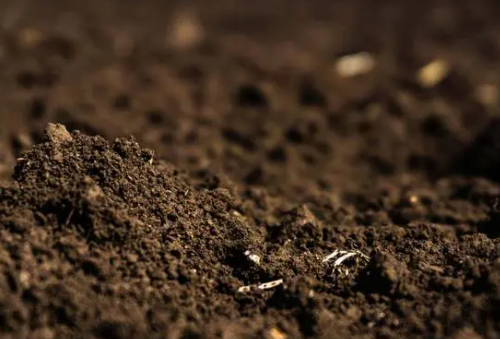 腐殖土是一种肥力较高的土壤，具有较多的有机质和微生物