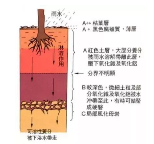 完整的土壤知识（农资人必备）