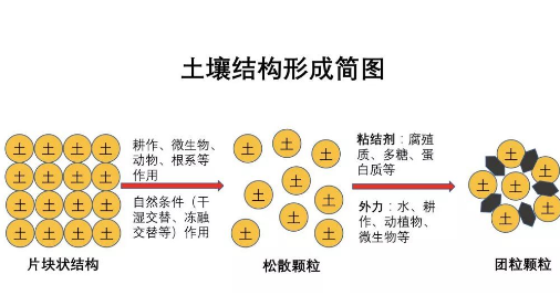 完整的土壤知识（农资人必备）