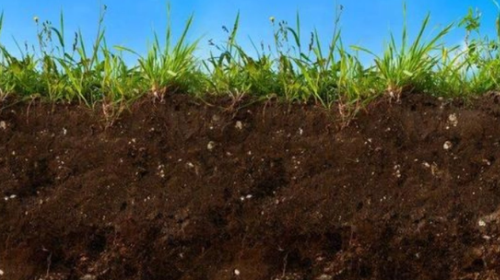 怎样判断土壤中含有腐殖质呢？