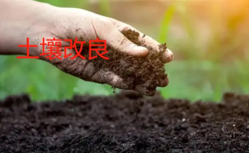 土壤改良的过程及发现