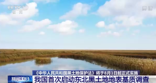 肥越用越多，地却越种越馋...