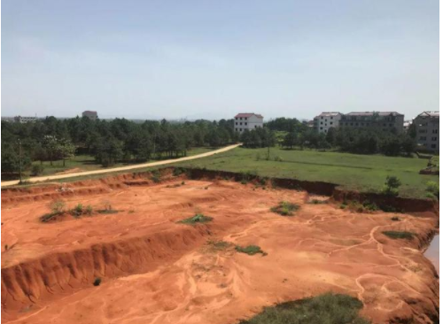 农业种植的“三害”不可忽视→