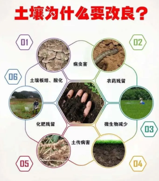 让土壤恢复生命力，这就是我们要走的路！