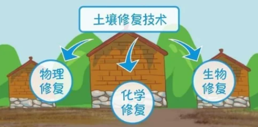 让土壤恢复生命力，这就是我们要走的路！
