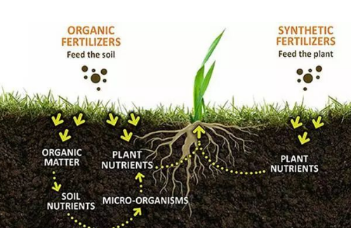 土壤有机质达到多少才算正常？