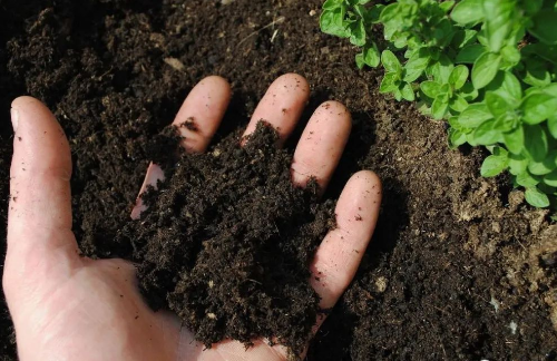 土壤中碳的存在形态与数量，既植物对土壤碳的吸收与释放