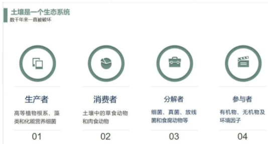 你的土壤“生病了吗”？